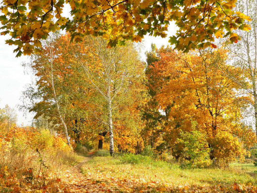 37879 (a): :1600x1200